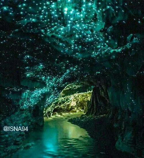 این غار را کرم های شب تاب به صورت کاملا طبیعی روشن کرده ا