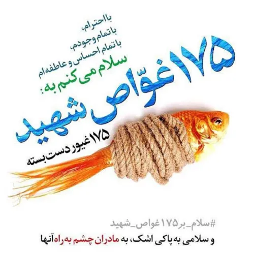 شادی روح پرفتوحشان صلوات