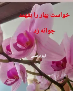 خواست بهار را بفهمد 