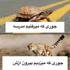 سم آخری که سم خالصه🤣🤣