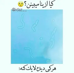 سلام☺