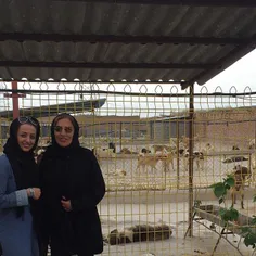 بازدید از پناهگاه مهر مشهد