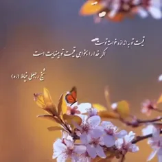 سلام و احترام🌷