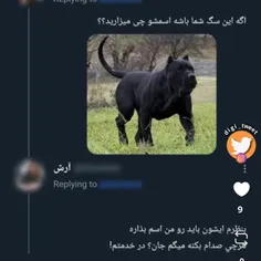 من می ذارم تایسون یا اسپارک 🥺