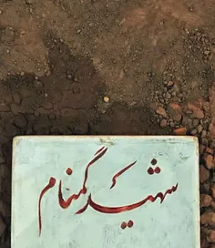 گفتند شهیـد گمنامه