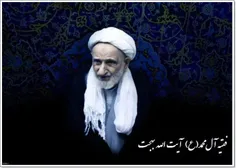 آیت الله بهجت : با هر کس بخواهیم دوستی می کنیم حتّی اگر م