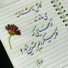 ڪاش ناشناختہ مےماندند