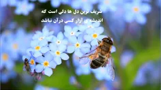 تصاویر پس زمینه mojtabaabatjom 17194881