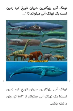 نهنگ آبی یا وال آبی بزرگترین حیوان تاریخ که هم اکنون زنده و حاضر است و دومین موجود بزرگ زنده ی دنیا هم متعلق به نهنگ تیغ باله است