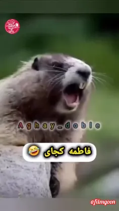 @filmgoon