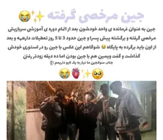 جیغ عررررر😭😭😭