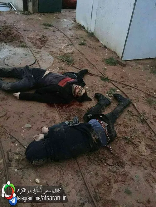 دو جوان فلسطینی که در غرب رام الله در تیراندازیهای رژیم س
