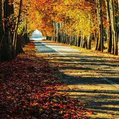 وما ازپاییز سوزوسرمای زمستان دیدیم😢