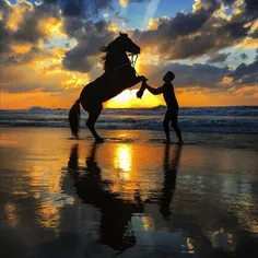 Abdullah plays with his horse on #Gaza beach at sunset. H