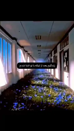 بعد از اشنای باتو=)