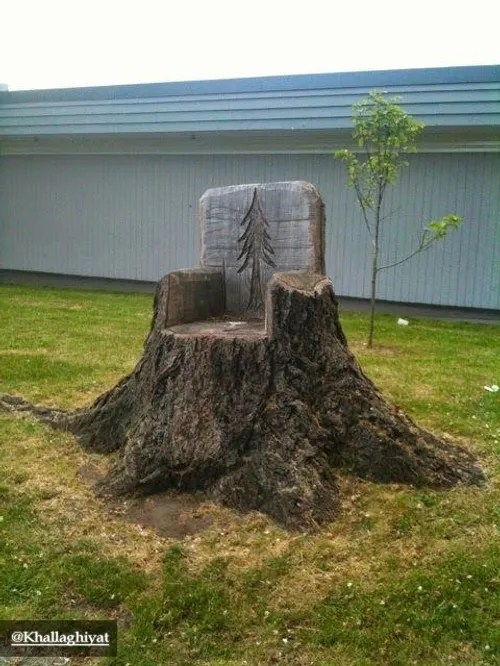 ساخت صندلی با تنه درختان مانده در زمین