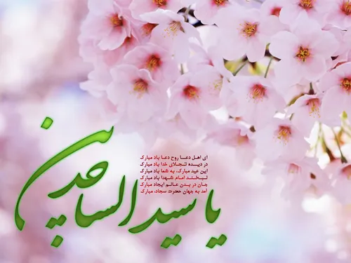 🎀🍃 زیــنـبـیــــون🍃🎀