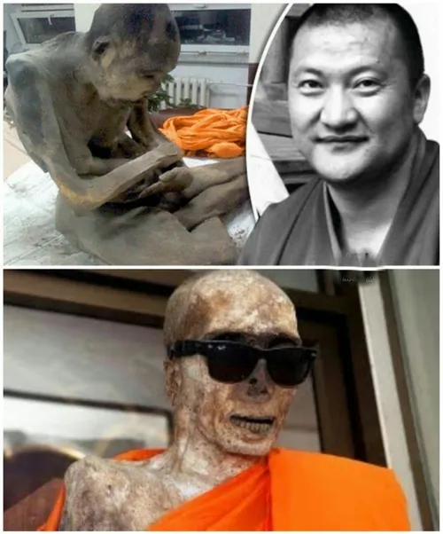 برخی راهبان بودایی، خود را درزمانی که زنده هستند مومیایی 
