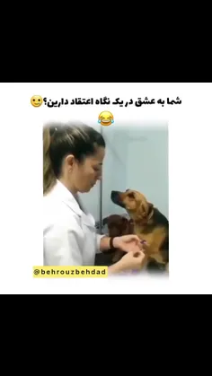 قلبم هار شده