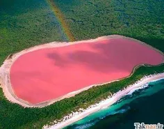 دریاچه ای در استرالیا به رنگ صورتی !!!!!!!!! شگفتا !!!!!!