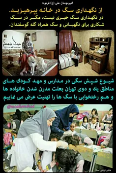شیوع شپش #سگی در مدارس و مهد کودک های مناطق یک و دو تهران