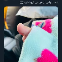 چه کیوته 🥹