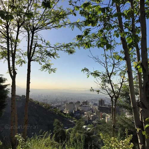 Tehran skyline is seen through glittering leaves of trees