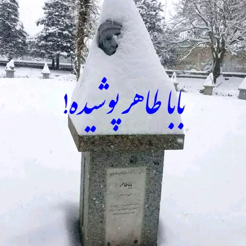 این قسمت