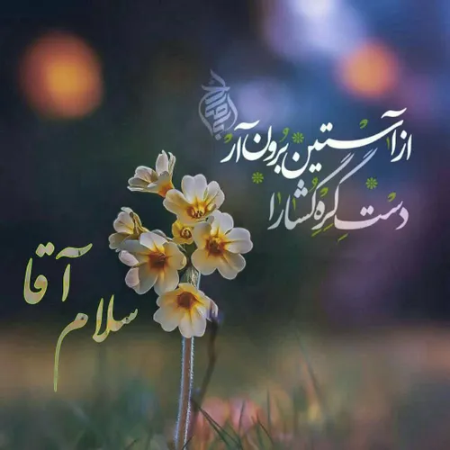 مذهبی mahbanoo1399 34972188 - عکس ویسگون