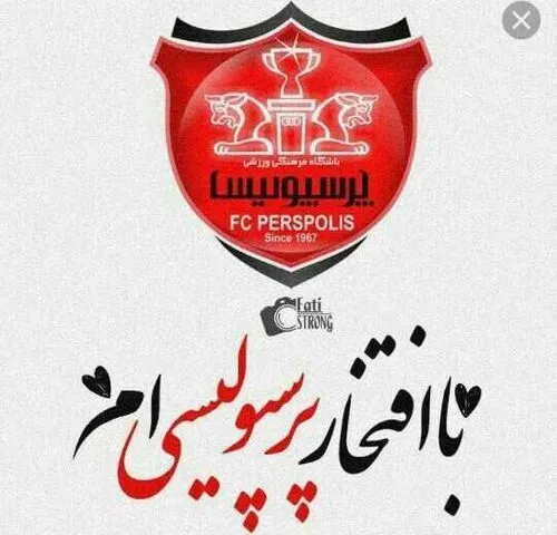 فقط پرسپولیس