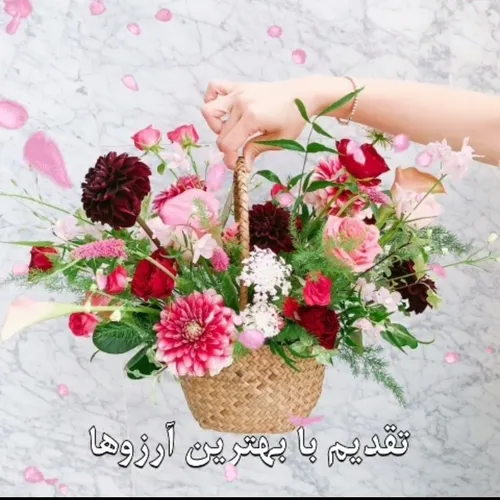 سلام صبح اول هفته تون گلباران،🌸