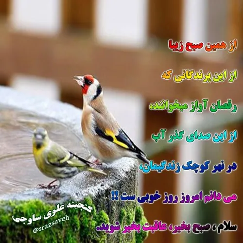 از همین صبح زیبا