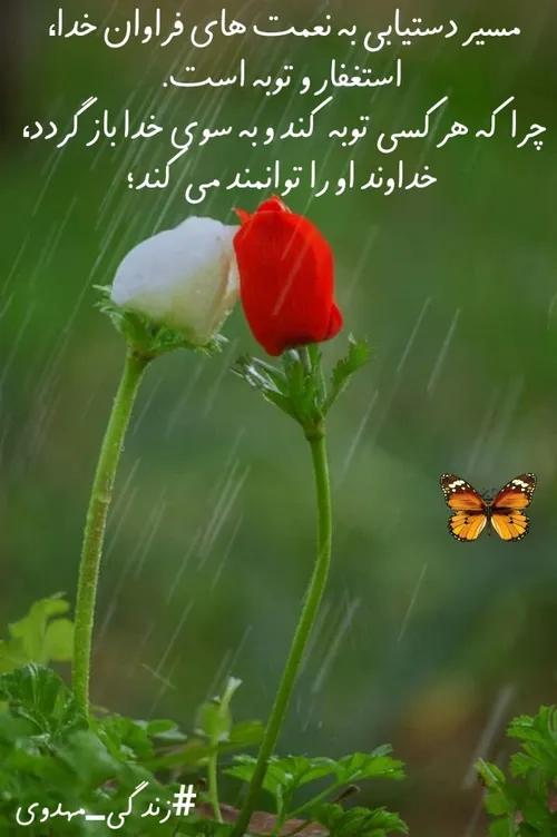  ya_emam_zaman1345 36223059 - عکس ویسگون