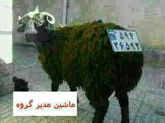 ماشین برادر مدیر گروه اینه