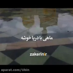 🔖۱۱ ذی‌القعدة الحرام