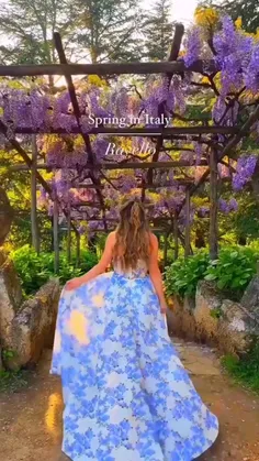 🌸سلام صبح بخیر