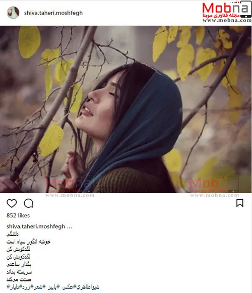 فیلم و سریال ایرانی siedjavad 27928261 - عکس ویسگون