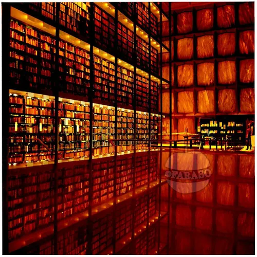 در دانشگاه ییل ایالات متحده، کتابخانه ای بدون پنجره وجود 