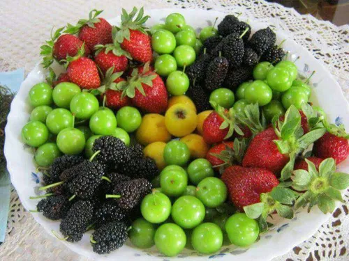 بهترین منابع غذایی حاوی آنتی اکسیدان ها شامل میوه ها و سب