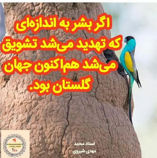 مذهبی