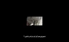 ‌ ‌ ‌ ‌ ‌‌ ‌ ‌   ‌ ‌‌ ‌ ‌ ‌ ‌ ‌ ‌ ‌ ‌‌ ‌ ‌ ‌ ‌ ‌  ‌ ‌‌ ‌: