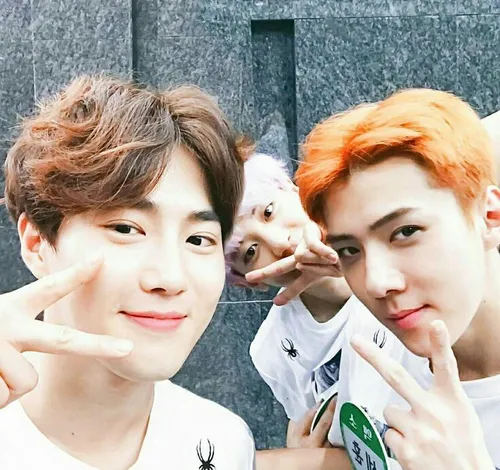 سه تا عشق♥ ♥ ♥ suho chanyeol sehun