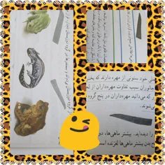 کتاب علوممه مثلا خخخخخ