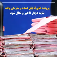  شورای معاونین دادگستری| مبارزه با قاچاق کالا و ارز|