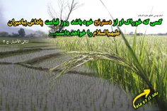 امام موسی کاظم علیه السلام