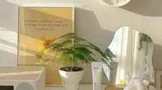 ── .✦ Limyori 🛵 ⋮ 🌻⌗ ┆⊹ ࣪ ˖ˎ