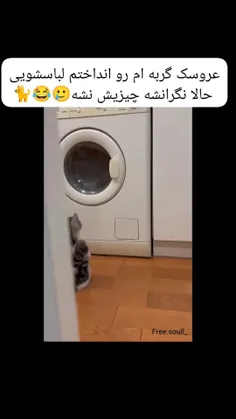 یه چی بهش بگین خوب خیلی دلواپسه🤣🤣🤣🤣