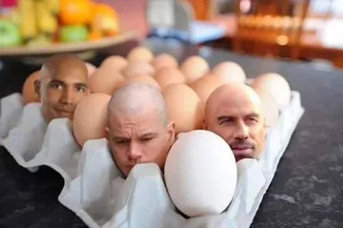 تخم مرغ های جدید