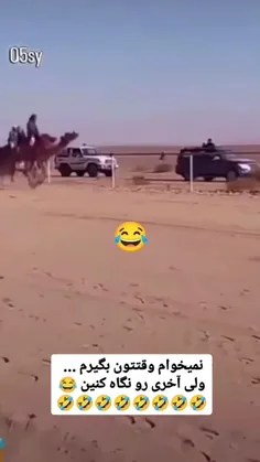 همیشه سبز با طراوت شاداب *Arvij *