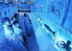 4- آکواریوم یخی در کسنوما در ژاپن